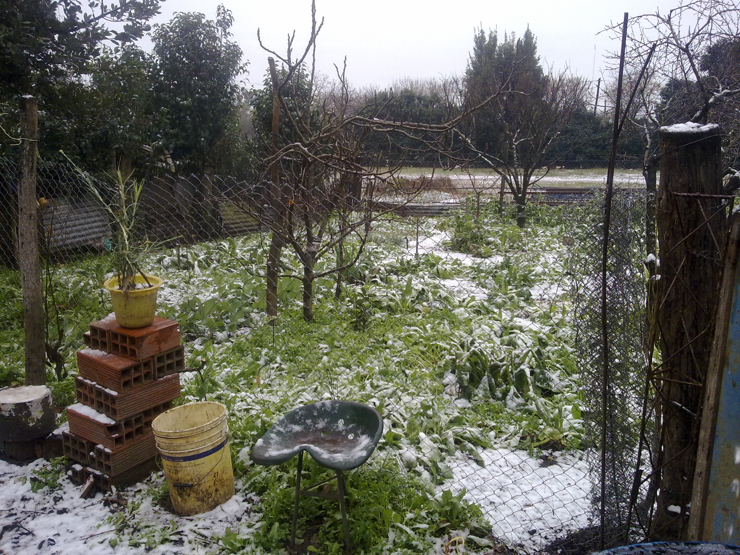 fotos/2010-07-18 - Nevada  y carneada/18072010515.jpg